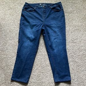 DG2 by Diane Gilman pull on elastic waist stretch jegging PLUS sz 1X